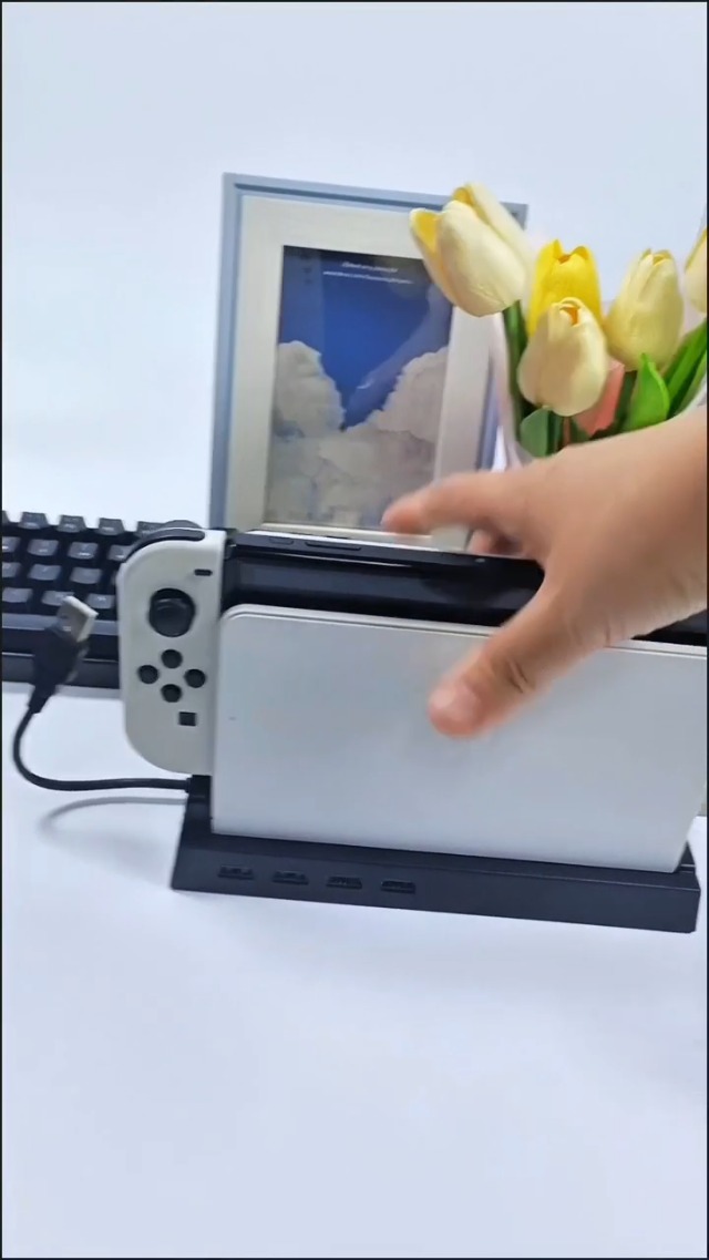 Amazon.com: USB Hub for Nintendo Switch Dock – 4-Port USB